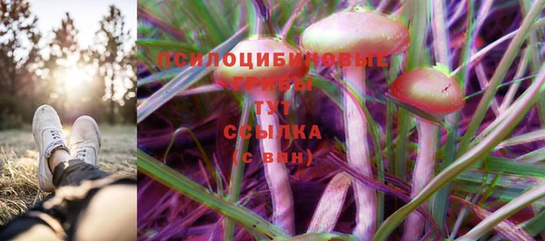 гидропоника Липки