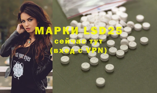 прущие грибы Майский