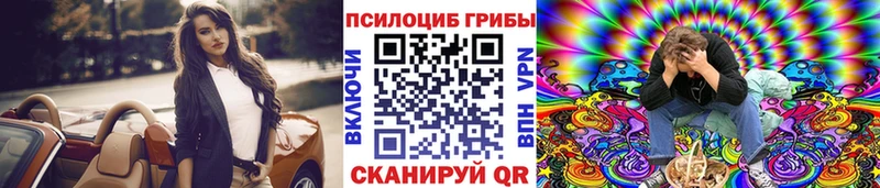 Псилоцибиновые грибы Psilocybine cubensis  купить закладку  Гдов 